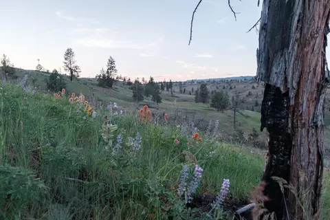 0 N Fork Rd, Monument, OR 97864 photo 37