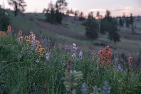 0 N Fork Rd, Monument, OR 97864 photo 38