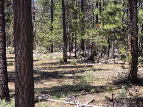 Other - 52225 Lechner Ln, La Pine, OR 97739 photo 2 of 6