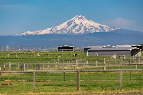 12444 SW Green Dr, Culver, OR 97734