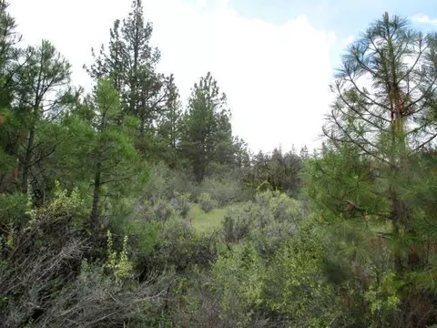 partin drive, Beatty, OR 97621