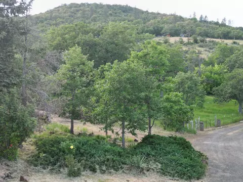 655 W Rolling Hills Dr, Eagle Point, OR 97524 photo 2