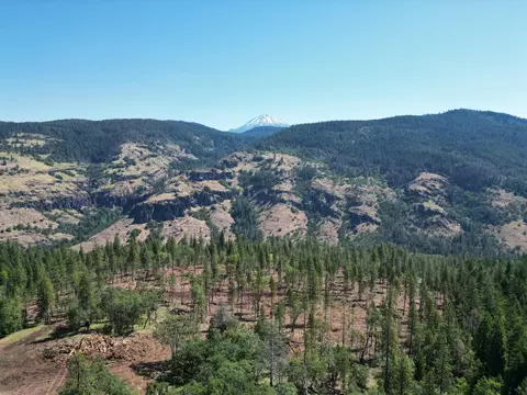 0 Sf Little Butte, Eagle Point, OR 97524 photo 9