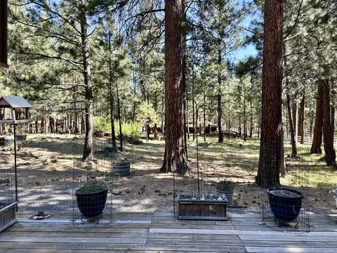 14570 Mountain View Loop, Sisters, OR 97759 photo 26