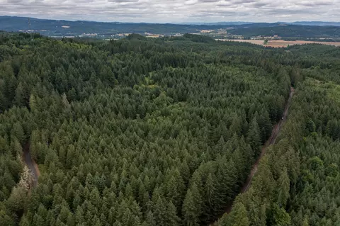 0 Mctimmonds Rd, Dallas, OR 97338