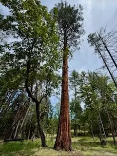 2093 Robertson Bridge Rd #2100, Grants Pass, OR 97526