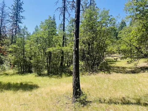 826 Ulrich Rd, Prospect, OR 97536