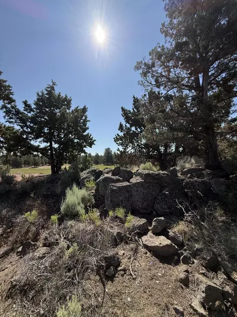 21710 Mcgilvray Rd, Bend, OR 97702 photo 3