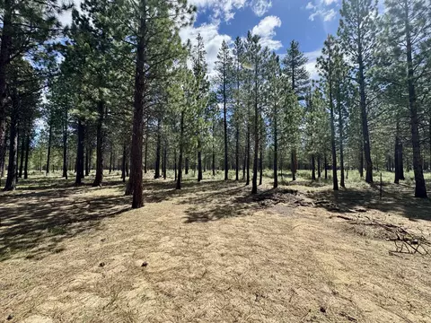 Exterior - 15188 Pyrola St, La Pine, OR 97739 photo 11 of 12
