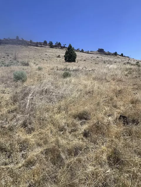 se hill street, Prineville, OR 97754