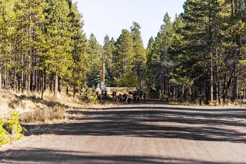 16815 Derringer Rd, Bend, OR 97707 photo 44