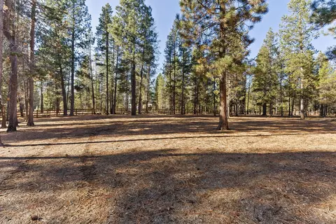 16815 Derringer Rd, Bend, OR 97707 photo 41