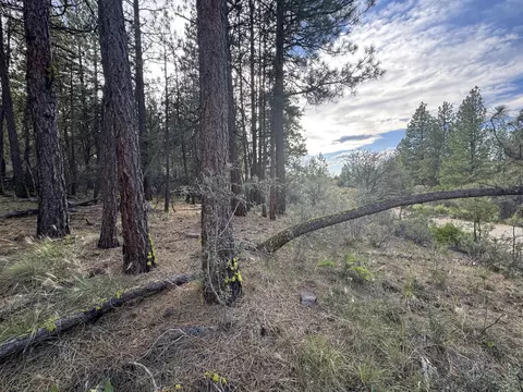 0 Partin Dr #6, Beatty, OR 97621