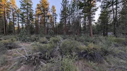 bufflehead drive, Bonanza, OR 97623