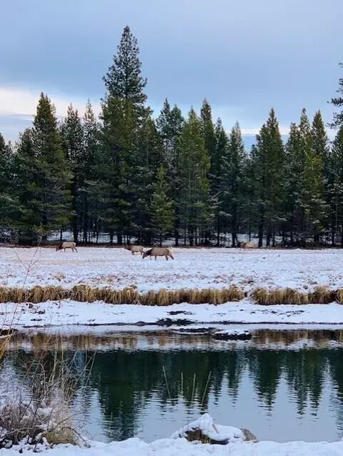 View/Area - 56514 Eclipse Dr, Bend, OR 97707 photo 7 of 8