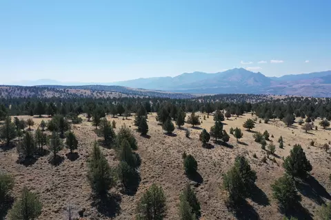 Tl 2400 Wiley Creek Road, Mount Vernon, OR 97865