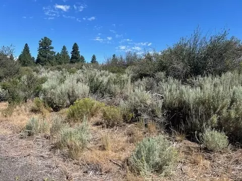 wrightwood LOT 17, Chiloquin, OR 97624