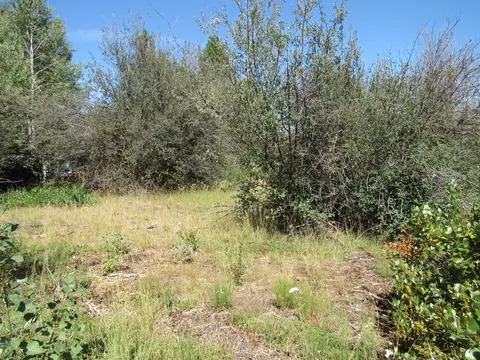 0 Forest View Dr, Chiloquin, OR 97624