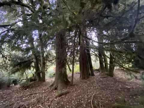 000 Dellmoor Loop, Warrenton, OR 97146