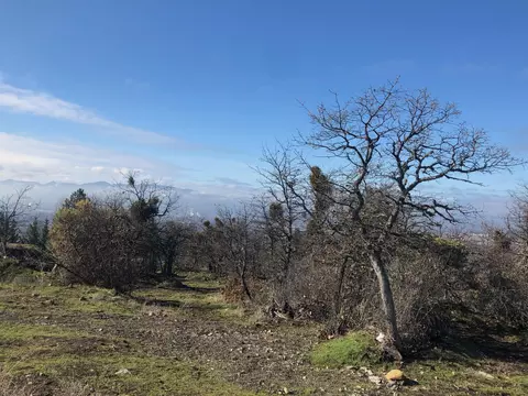 2410 N Foothill Rd, Medford, OR 97504