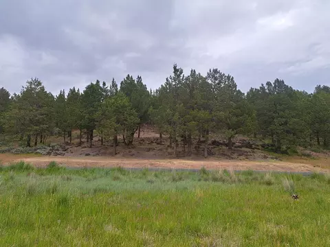 0 Parula Dr #1151, Klamath Falls, OR 97601