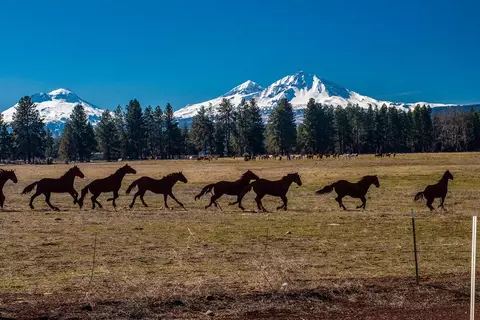 Other - 67134 Central St, Bend, OR 97703 photo 10 of 17