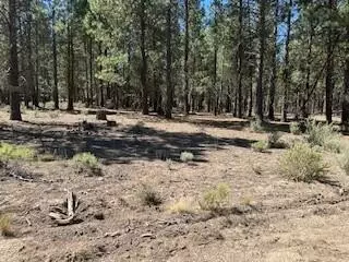 0 Gray Wolf Ln #LOT 11, Sprague River, OR 97639