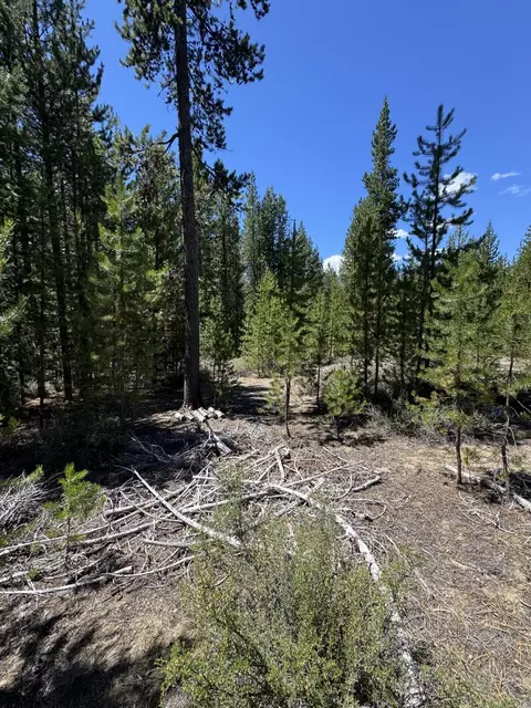 lot23 Crescent Moon Dr #23, Crescent Lake, OR 97733