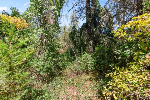 0 Hogan Rd, Applegate, OR 97530 photo 5