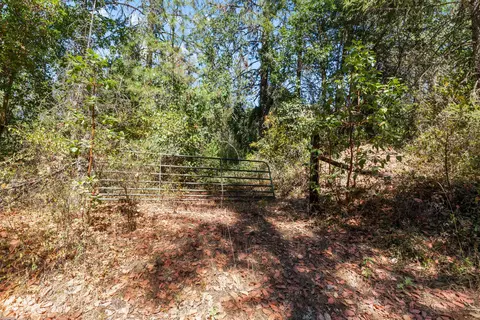 0 Hogan Rd, Applegate, OR 97530 photo 4