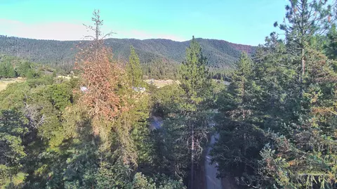 0 Hogan Rd, Applegate, OR 97530 photo 9