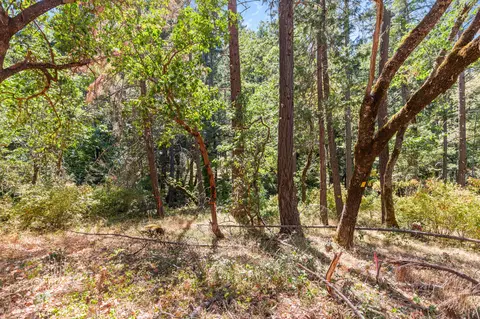 0 Hogan Rd, Applegate, OR 97530 photo 7