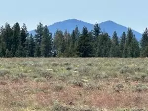 0 Rim Dr #LOT 29, Sprague River, OR 97639