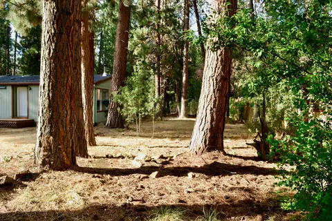 19124 River Woods Dr, Bend, OR 97702 photo 15