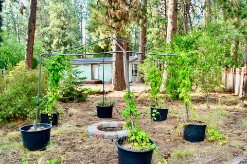 19124 River Woods Dr, Bend, OR 97702 photo 16