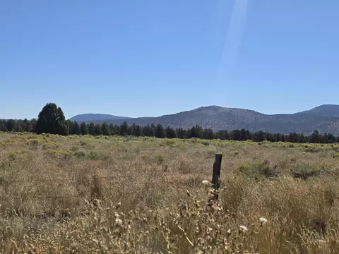 3138 Sheep Mountain Rd, Macdoel, CA 96058 photo 24