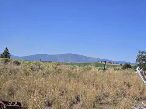 3138 Sheep Mountain Rd, Macdoel, CA 96058 photo 29