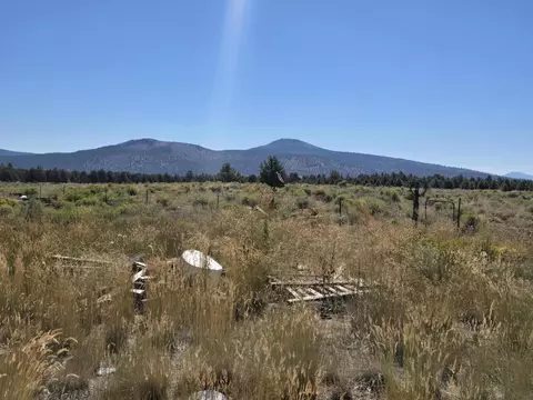 3138 Sheep Mountain Rd, Macdoel, CA 96058 photo 13
