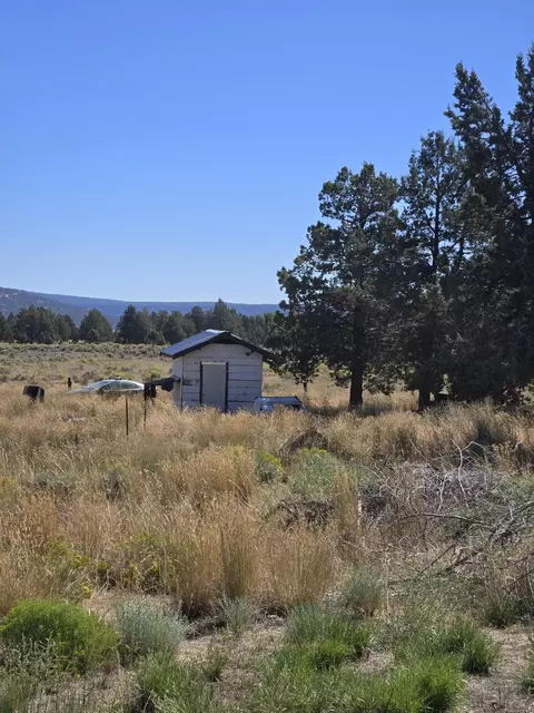 3138 Sheep Mountain Rd, Macdoel, CA 96058 photo 20