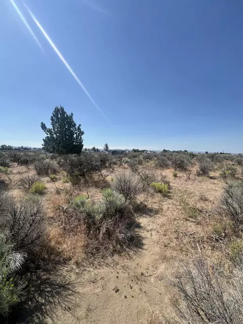 000 Glitter St, Christmas Valley, OR 97641