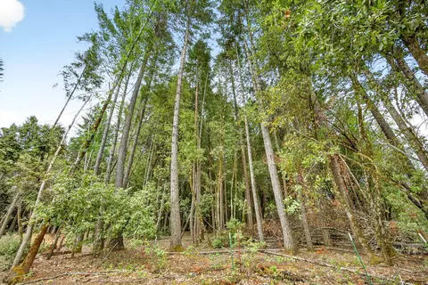 Exterior - 367 Madrona Dr, Cave Junction, OR 97523 photo 10 of 11