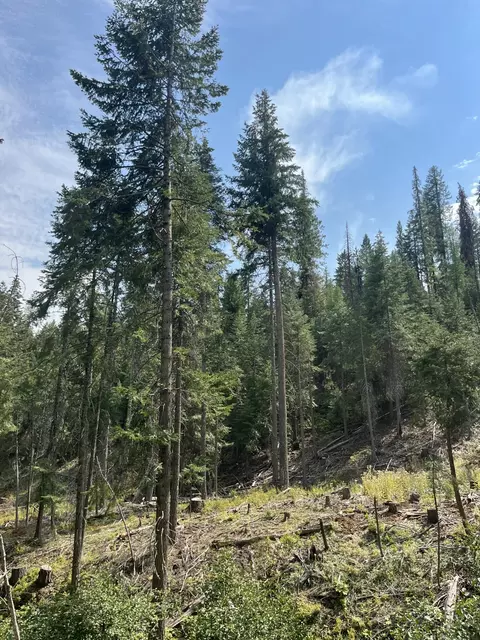 Usfs 112, Fox, OR 97845 photo 7