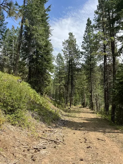 Usfs 112, Fox, OR 97845 photo 8