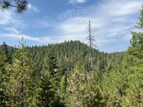Usfs 112, Fox, OR 97845 photo 2