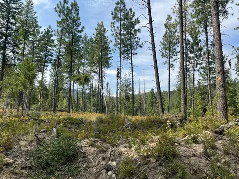 Usfs 112, Fox, OR 97845 photo 4
