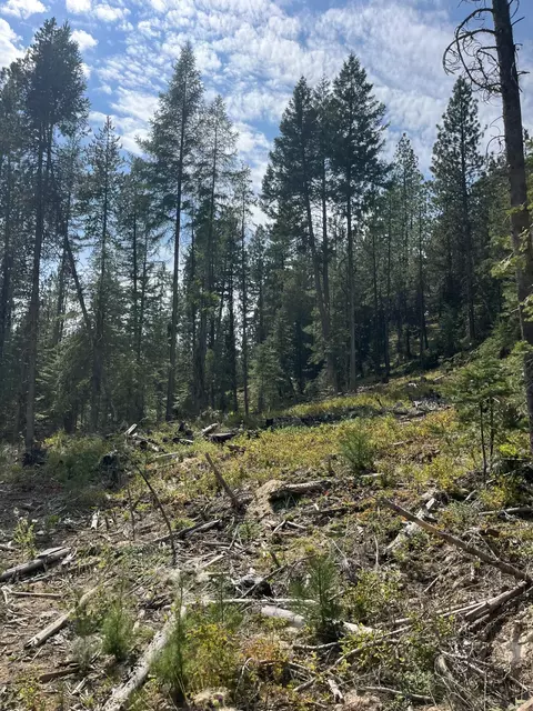 Usfs 112, Fox, OR 97845 photo 3