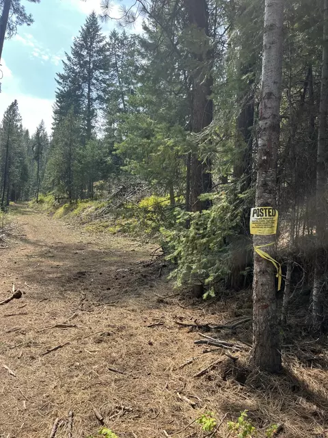 Usfs 112, Fox, OR 97845 photo 5