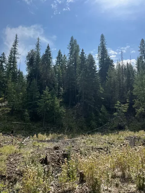 Usfs 112, Fox, OR 97845 photo 6