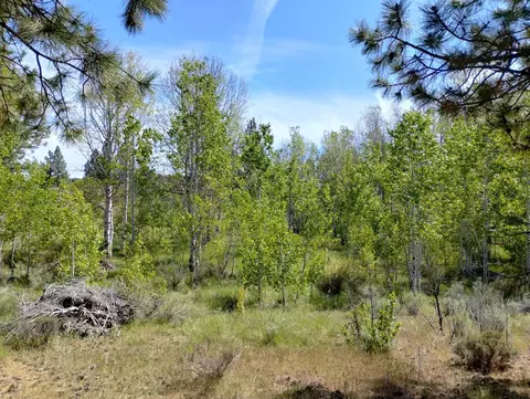 0 Forest View Dr #14-17, Chiloquin, OR 97624