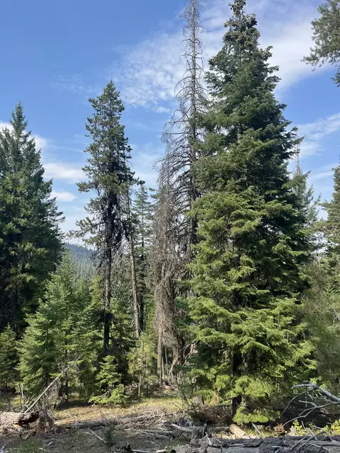 Usfs 112, Mount Vernon, OR 97865